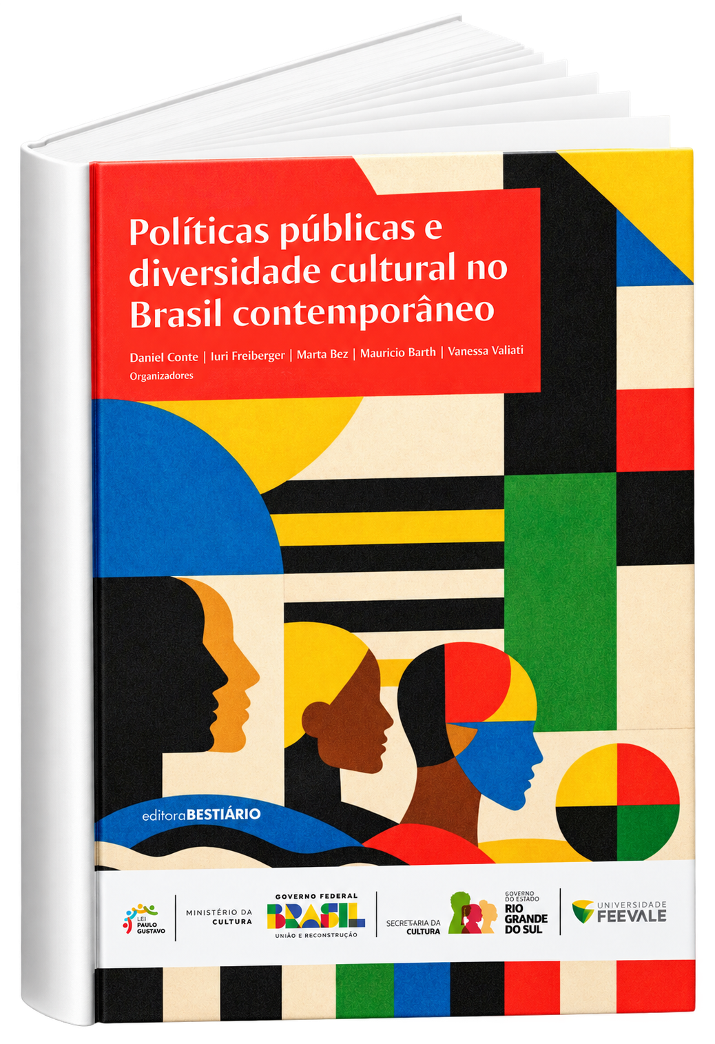 Capa provisória de Políticas públicas e diversidade cultural no Brasil contemporâneo