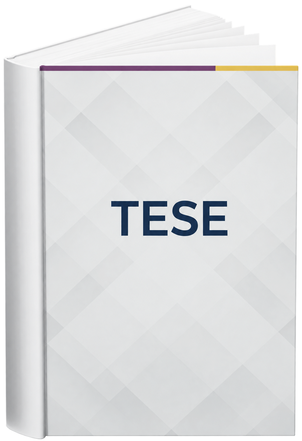 Capa provisória de Em definição